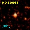 HD 310988