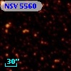 NSV  5560