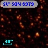 SV* SON  8979
