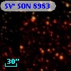 SV* SON  8983