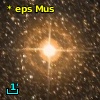 V* eps Mus