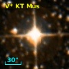 V* KT Mus