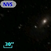 NVSS J173053+742221