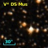 V* DS Mus