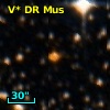 V* DR Mus