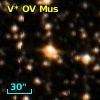 V* OV Mus