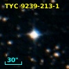 SA 203-218