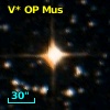 V* OP Mus