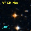 V* CH Mus