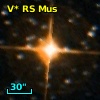 V* RS Mus