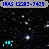 IRAS 12202-7428