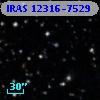 IRAS 12316-7529