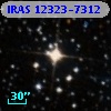IRAS 12323-7312