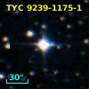 TYC 9239-1175-1