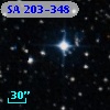 SA 203-348