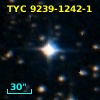 TYC 9239-1242-1