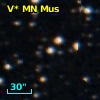 V* MN Mus