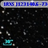 1RXS J123140.6-734110