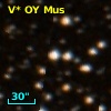 V* OY Mus