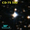 CD-75   590