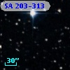 SA 203-313