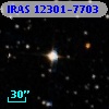 IRAS 12301-7703