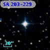 SA 203-229