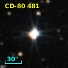 CD-80   481
