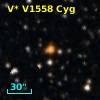 V* V1558 Cyg