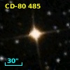 CD-80   485