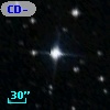 CD-81   459