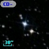 CD-81   478