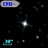 CPD-82   557