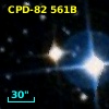 CPD-82   561B