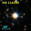 HD 114240