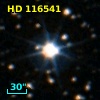 HD 116541