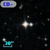 CD-80   491