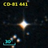 CD-81   441