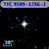 TYC 9508-1286-1