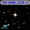 TYC 9508-2137-1