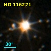 HD 116271