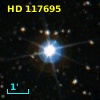 HD 117695
