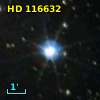 HD 116632