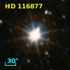 HD 116877