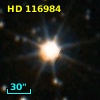 HD 116984