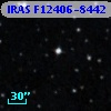 IRAS F12406-8442