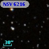 NSV  6216