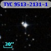 TYC 9513-2131-1