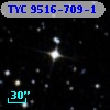 TYC 9516-709-1