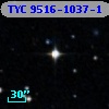 TYC 9516-1037-1